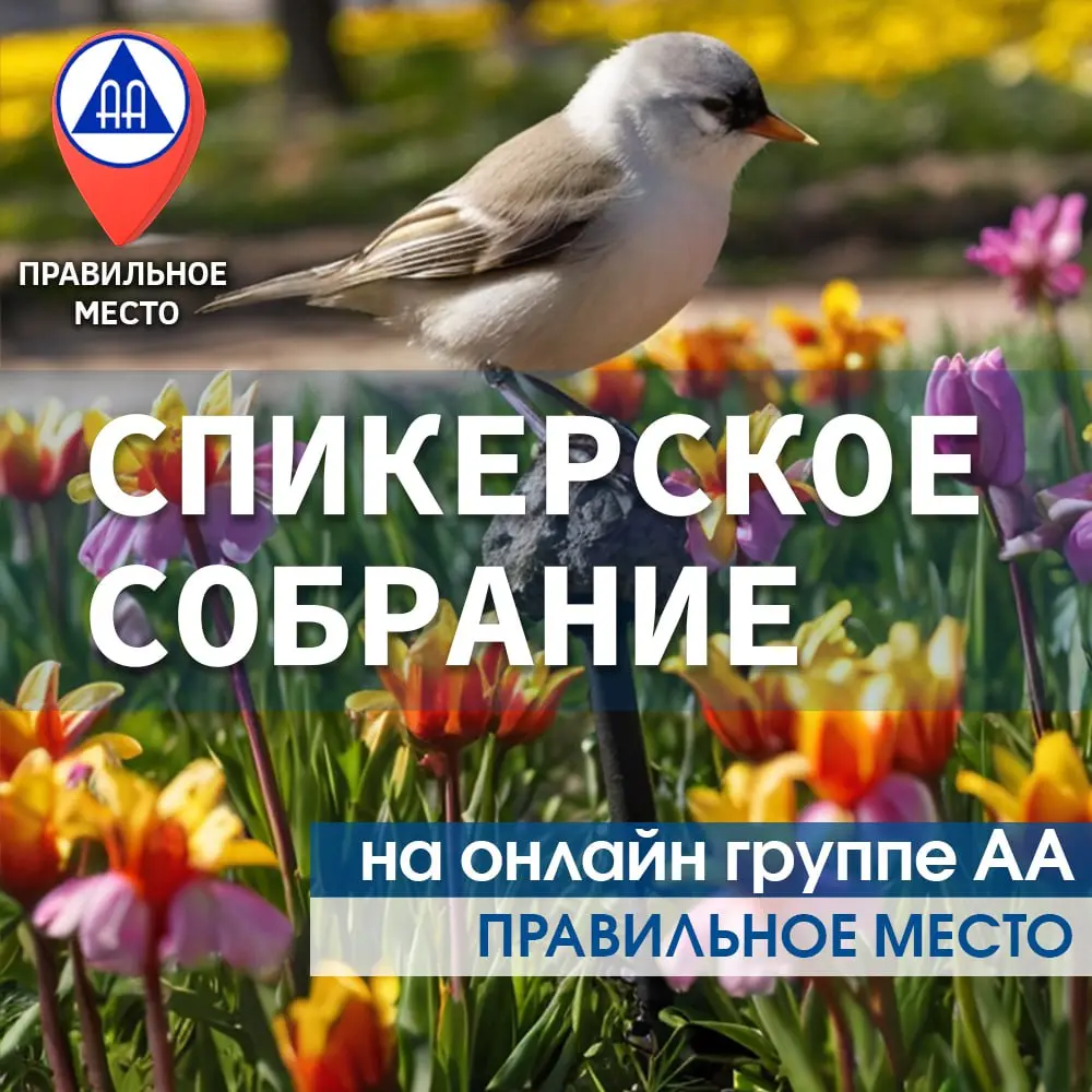СПИКЕРСКОЕ СОБРАНИЕ на онлайн группе АА "Правильное место"