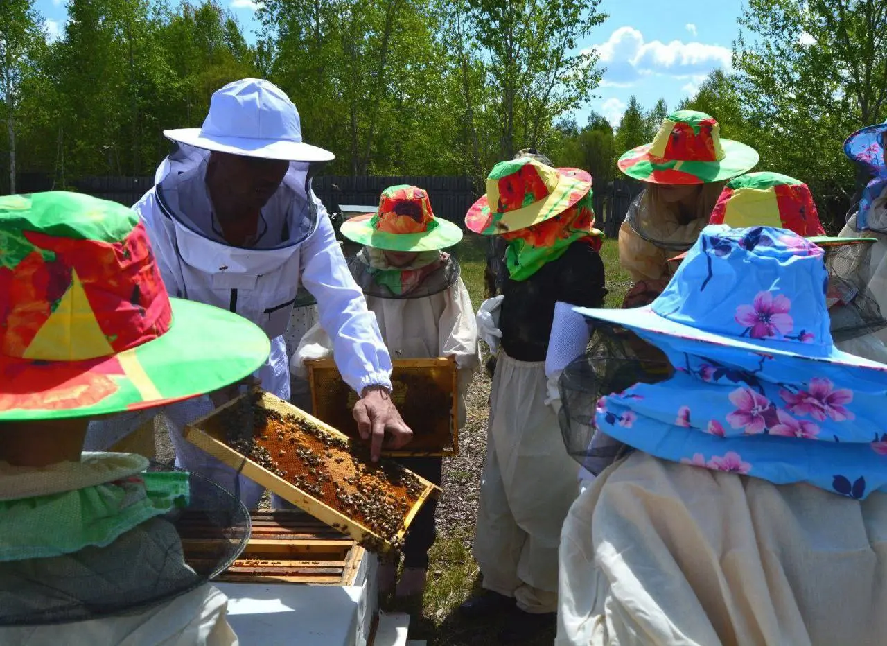 Пасека "Дивный улей" принимает гостей и организует экскурсии