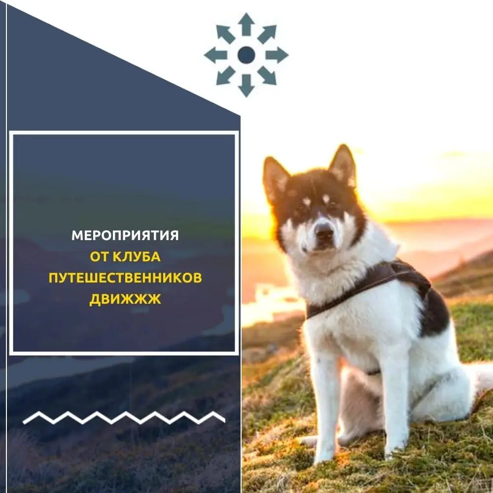 Дог-трекинг на Серебряниковскую видовку и Манские видовки на вездеходе