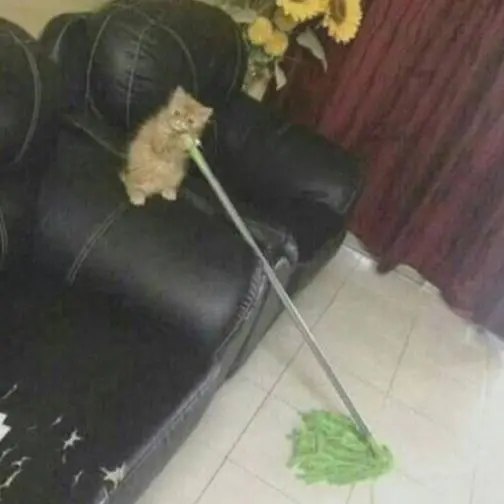 субботник — фитнес с граблями в креативном кластере «Лето на Заводе»