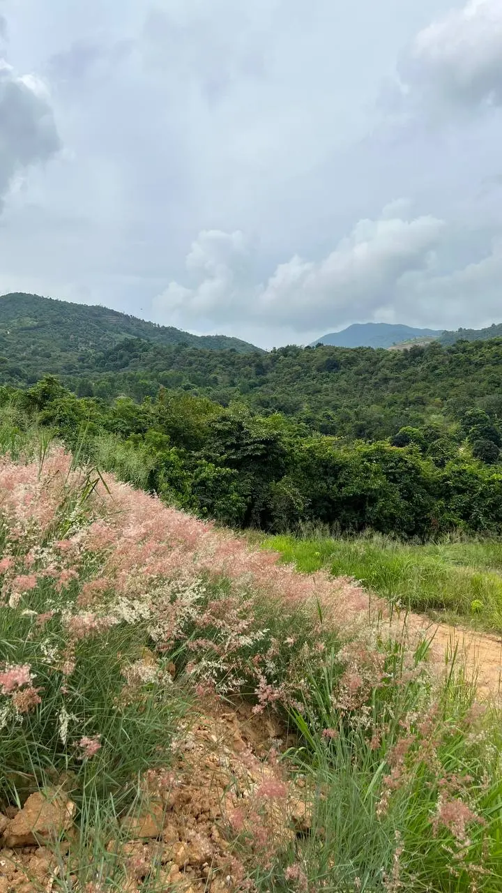 Поход на гору Đá Đen