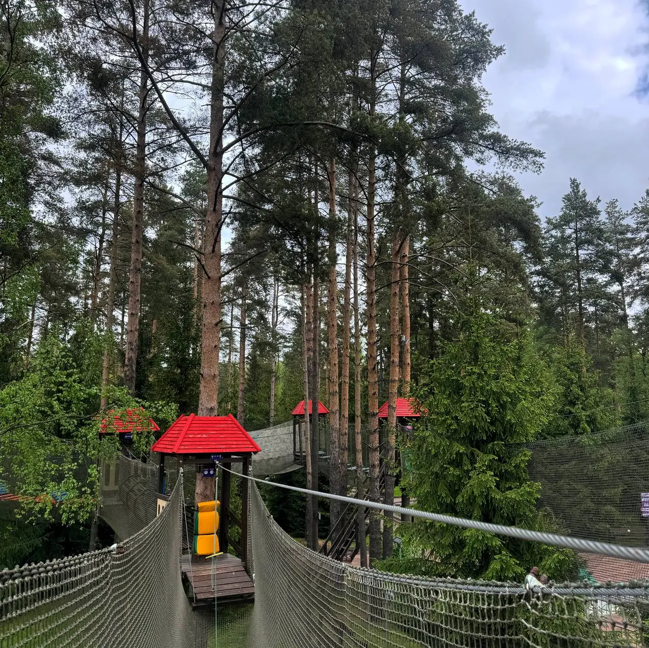 Квест в "Лесу Чудес" с шансом попасть на концерт Betsy