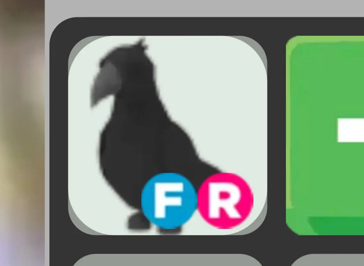 МЕНЯЮ ВОРОНА ОНЛИ АДОПТ!!