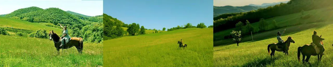 Конные прогулки в Западной Сербии!🐴