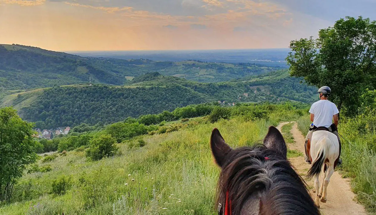 Конные прогулки в Западной Сербии!🐴