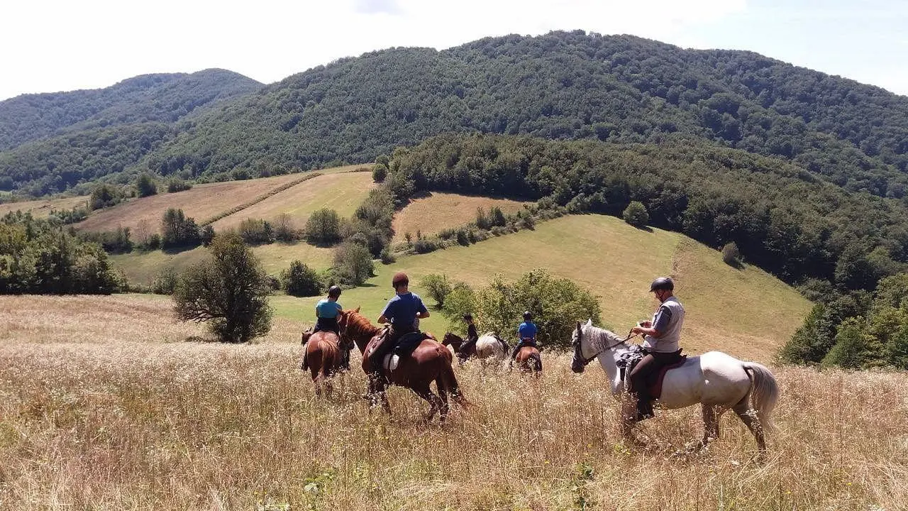 Конные прогулки в Западной Сербии!🐴