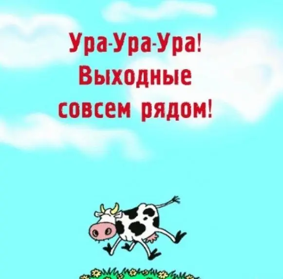 Планы на Первые Летние Выходные в Калининграде: 31 мая - 1 июня