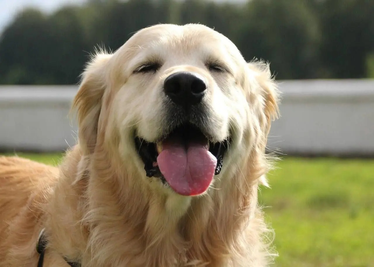 Благотворительная акция «Ищу человека»