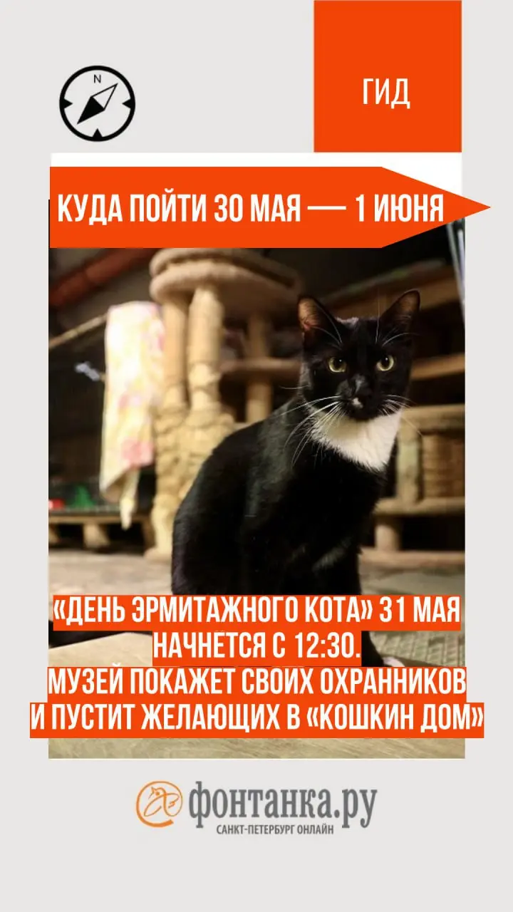 Елагин слет, средневековье в Муринском парке, Классика на Дворцовой и другие опен-эйры