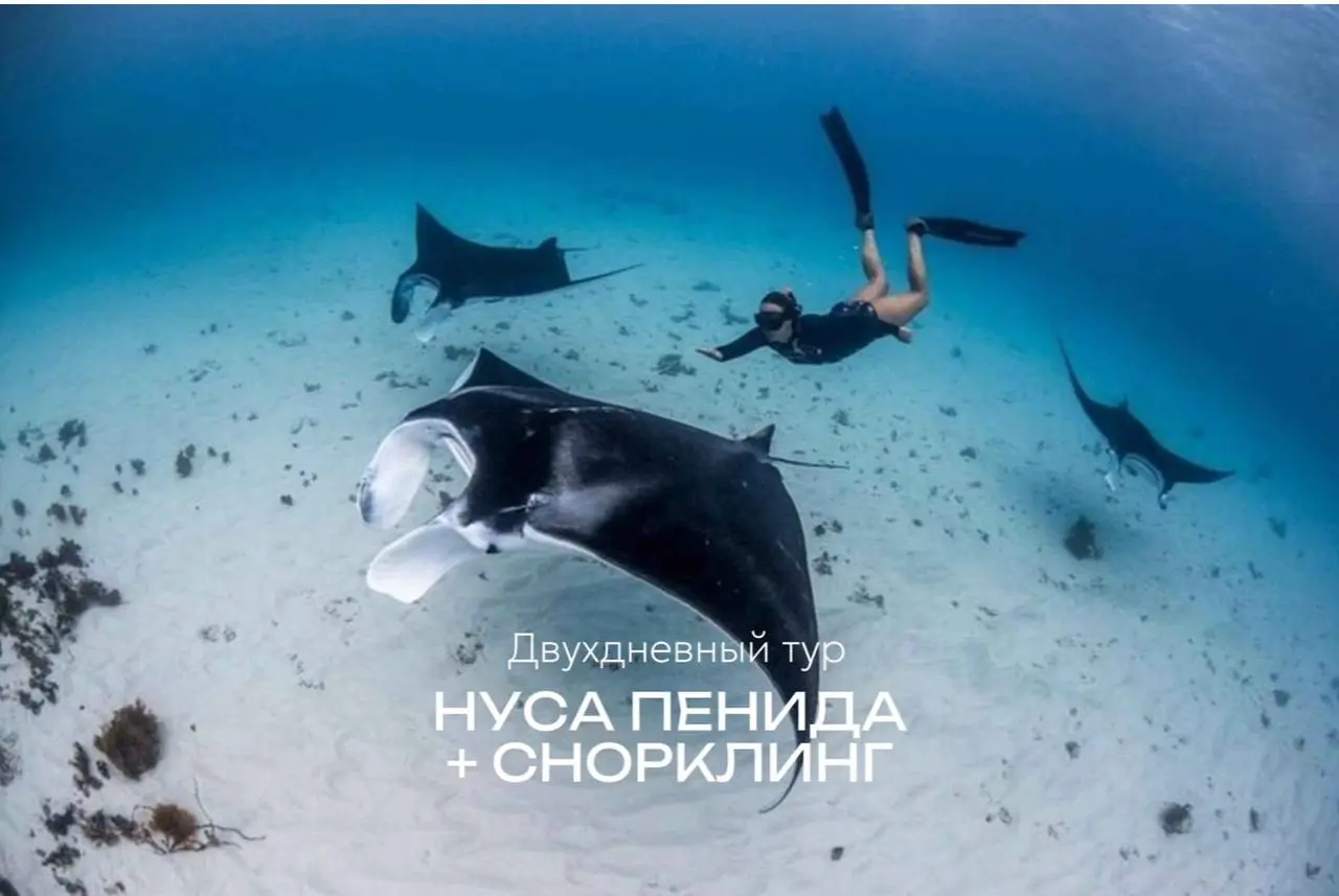 Нуса Пенида + снорклинг (2 дня) 1 июня