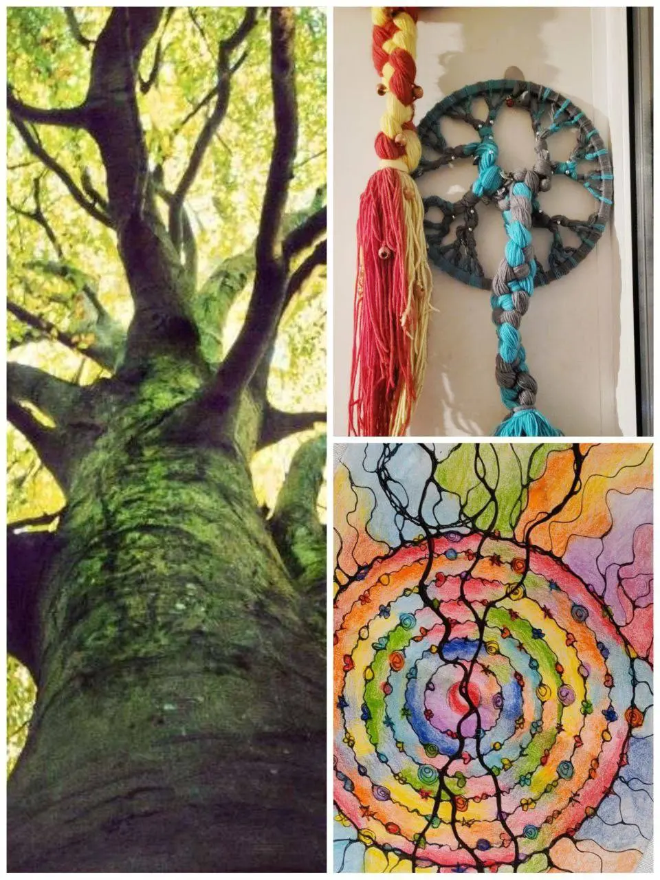 овой тур на Алтае, путешествие в глубь себя через Силу Рода