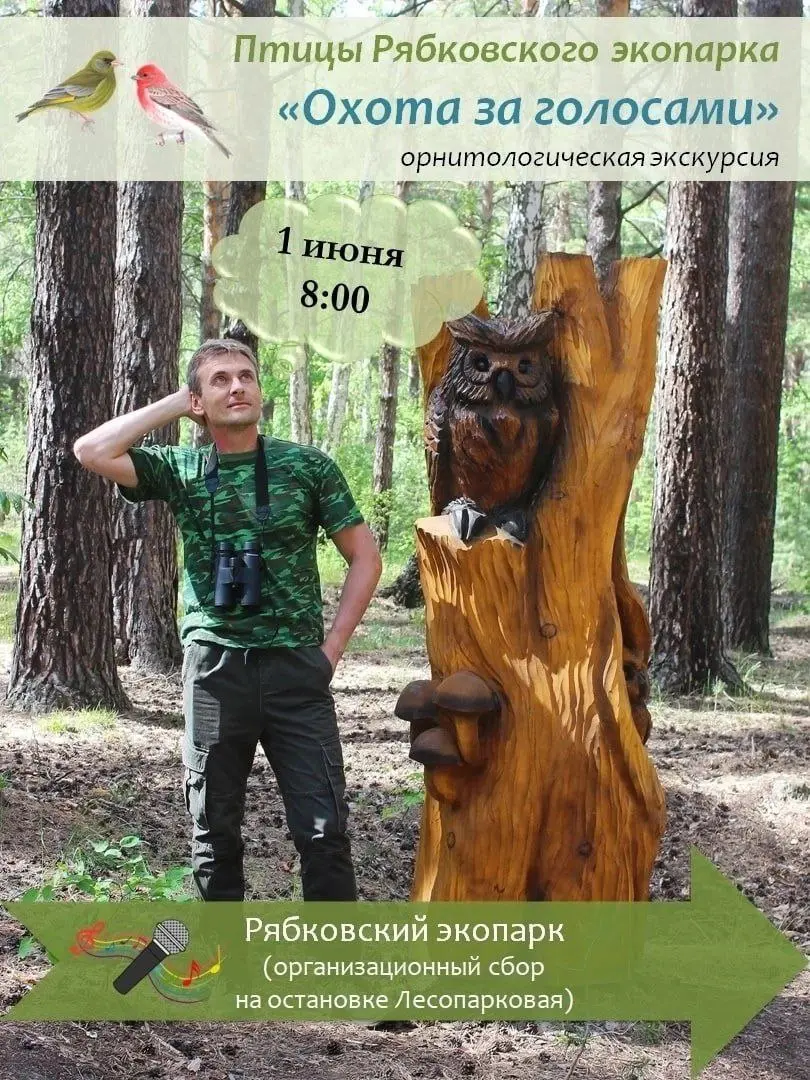 Орнитологическая экскурсия "Охота за голосами"