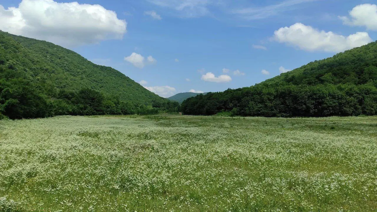Турбаза "Орлиная скала"🏕 | Тенгинка