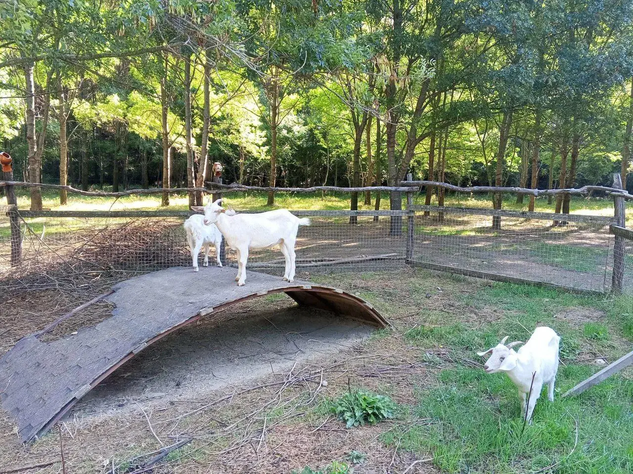 Турбаза "Орлиная скала"🏕 | Тенгинка