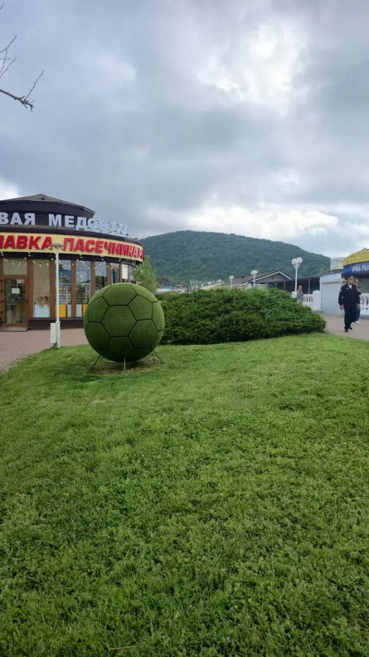 Пресс-тур 2025 | Геленджик | Чистота морей