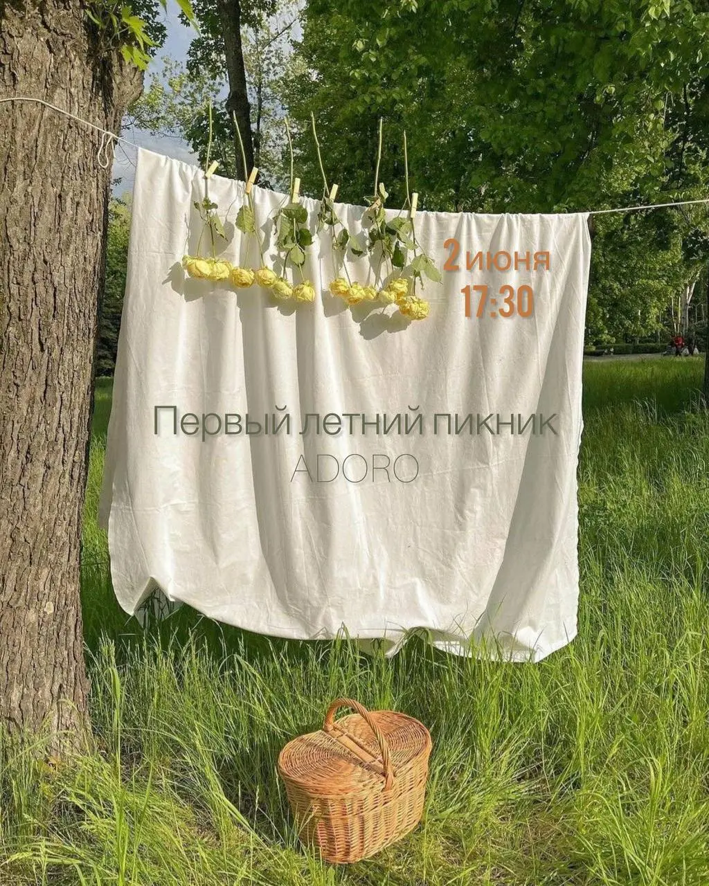 Пикник ADORO «Полдник на траве»