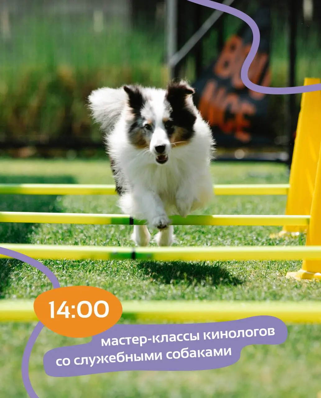 Большой детский фестиваль в Абрау-Дюрсо