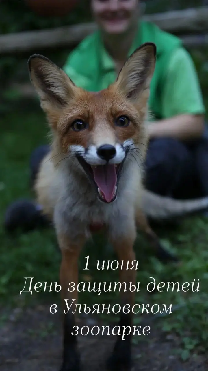 День защиты детей в Ульяновском зоопарке
