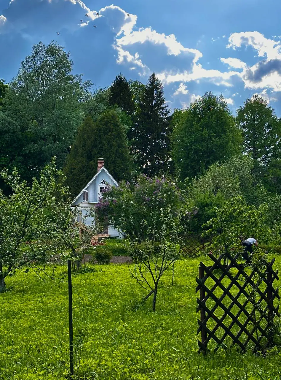 Экскурсия по музею-заповеднику «Мелихово»