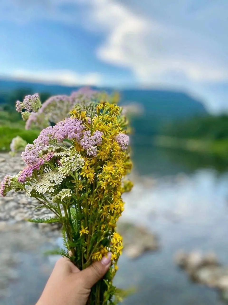 Башкирские зубры и настоящий каньон