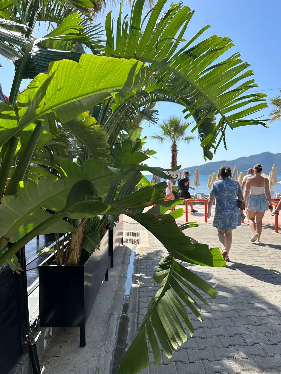 ВАУ ВАУ ВАУ СРОЧНОЕ ВКЛЮЧЕНИЕ