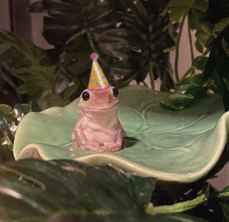 С Днём защиты детей наших юных подписчиков!