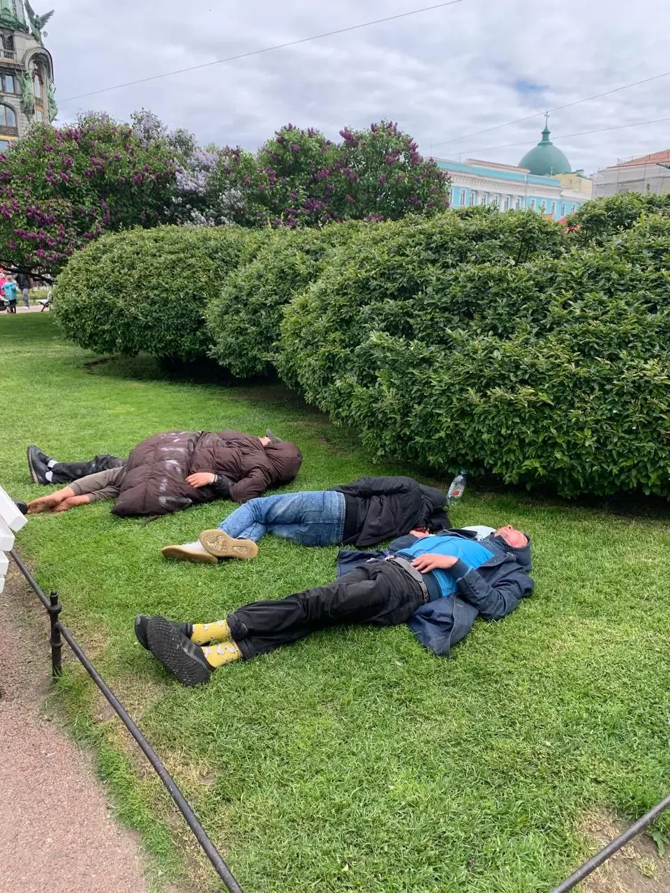 Утро Питера