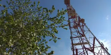 Шарики и ромашки на нижегородской телебашне