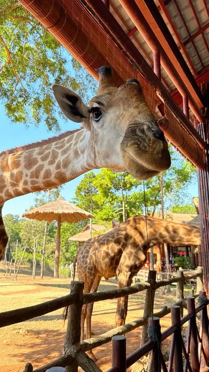 Летние туристические направления 2025