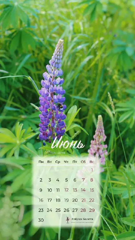 спектакли «Русалочка»