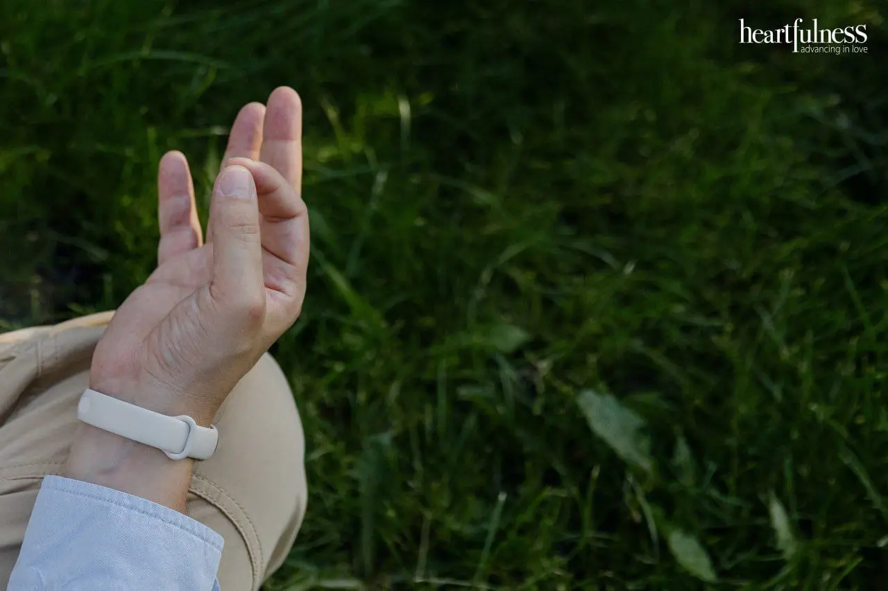 Медитации в парках 'Фили' и 'Митино'