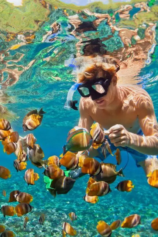 ТОП ТУР НА НУСА ПЕНИДА НА ЯХТЕ 1 ДЕНЬ