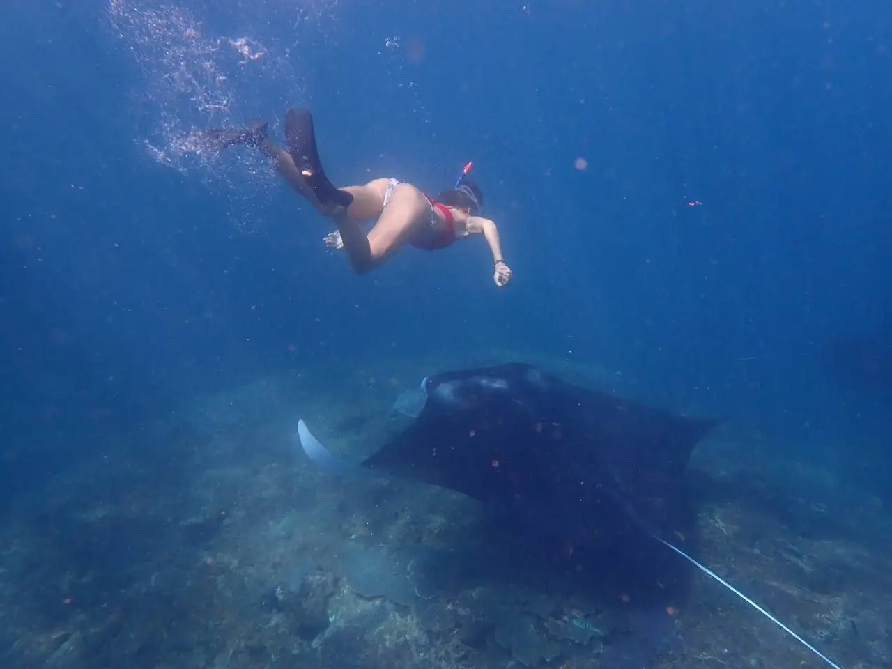 ТОП ТУР НА НУСА ПЕНИДА НА ЯХТЕ 1 ДЕНЬ