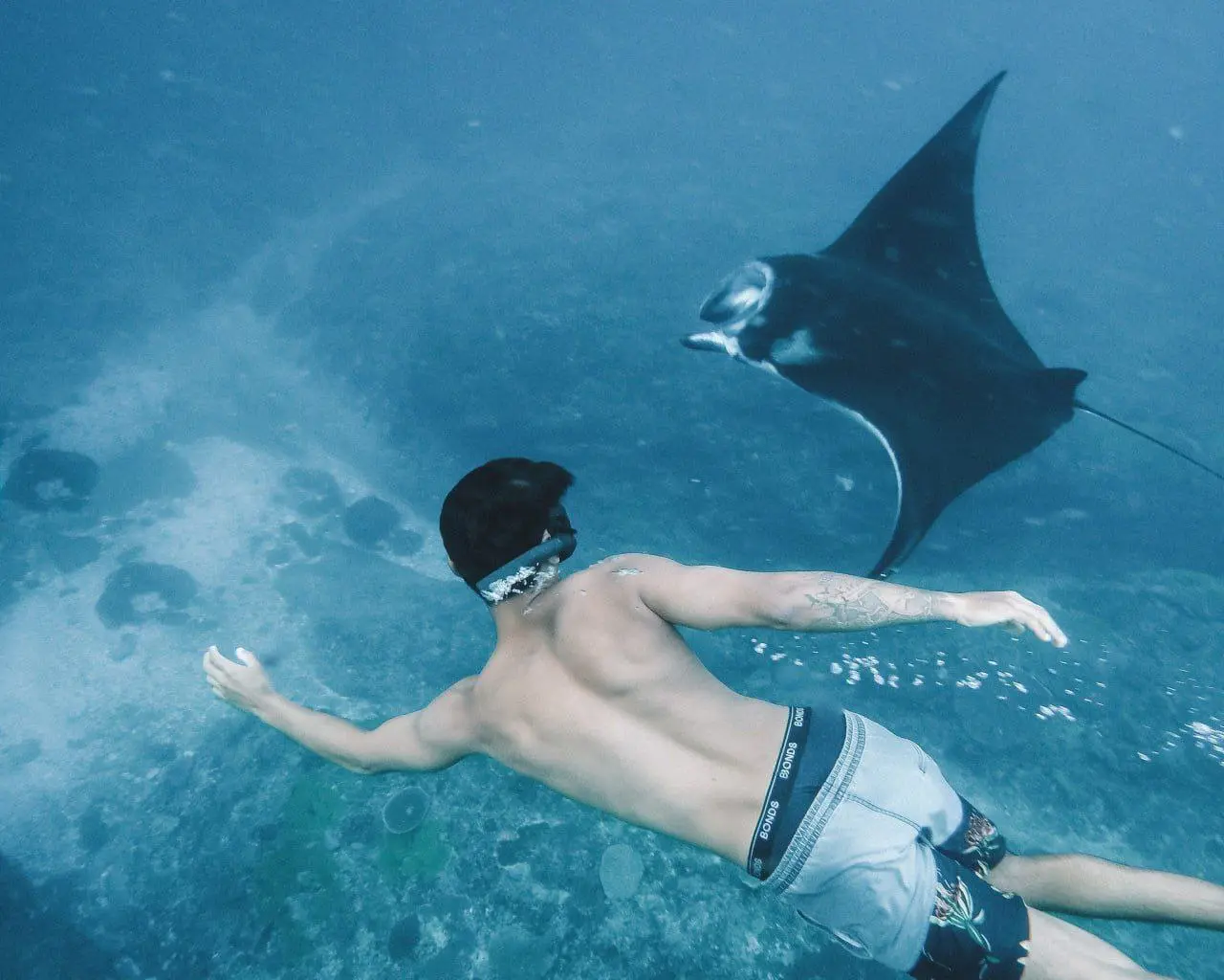 ТОП ТУР НА НУСА ПЕНИДА НА ЯХТЕ 1 ДЕНЬ