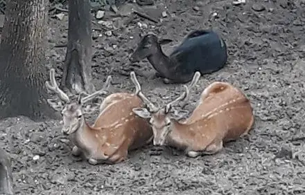 летний турпоход и экскурсии в Сербии