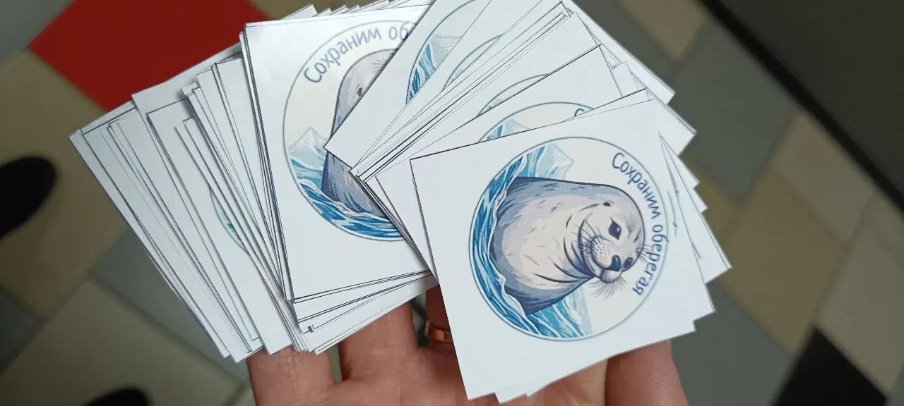 ПОПАВШИЕ В ПЕТЛЮ: СПАСЕНИЕ ТЮЛЕНЕЙ