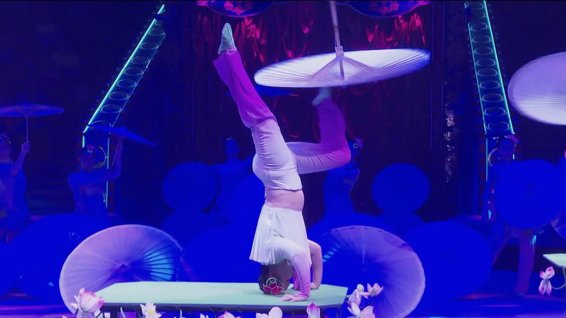 Городское мероприятие в Саратове: шоу гимнастов, акробатов и дрессировщиков