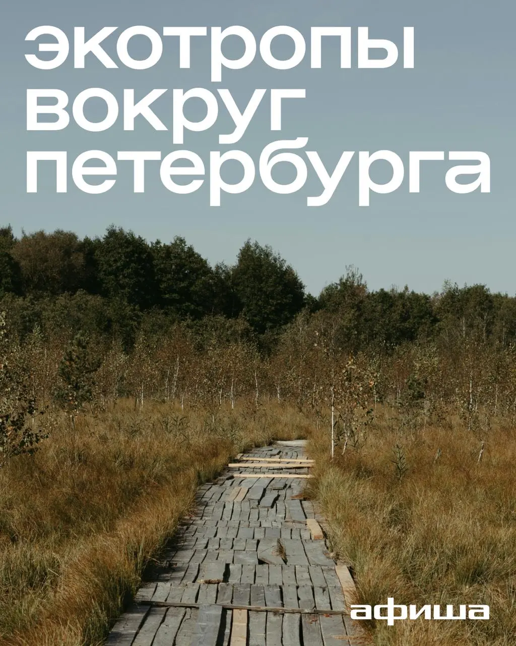 Скалы, водопады и герои сказок: 6 экологических троп вокруг Петербурга