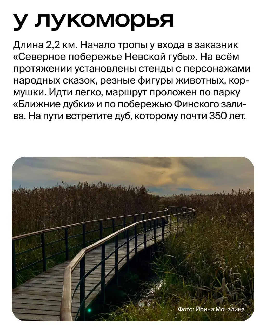 Скалы, водопады и герои сказок: 6 экологических троп вокруг Петербурга