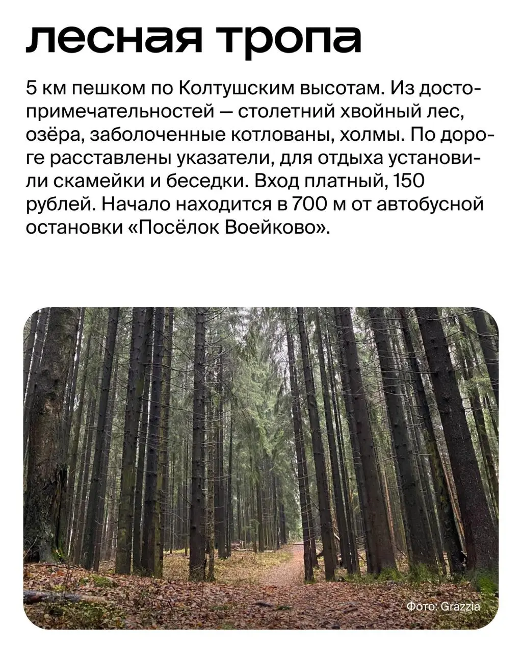 Скалы, водопады и герои сказок: 6 экологических троп вокруг Петербурга