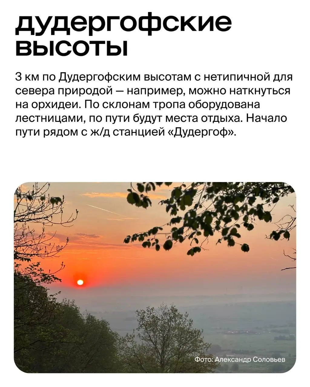 Скалы, водопады и герои сказок: 6 экологических троп вокруг Петербурга