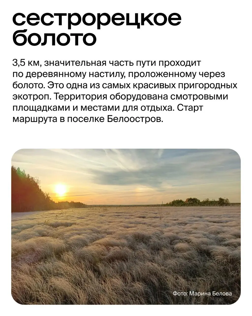 Скалы, водопады и герои сказок: 6 экологических троп вокруг Петербурга