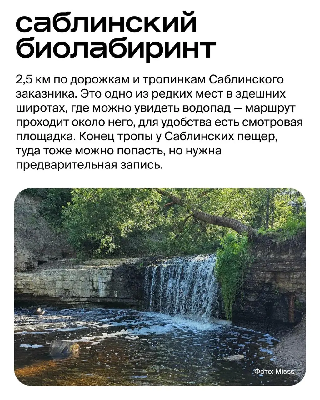 Скалы, водопады и герои сказок: 6 экологических троп вокруг Петербурга