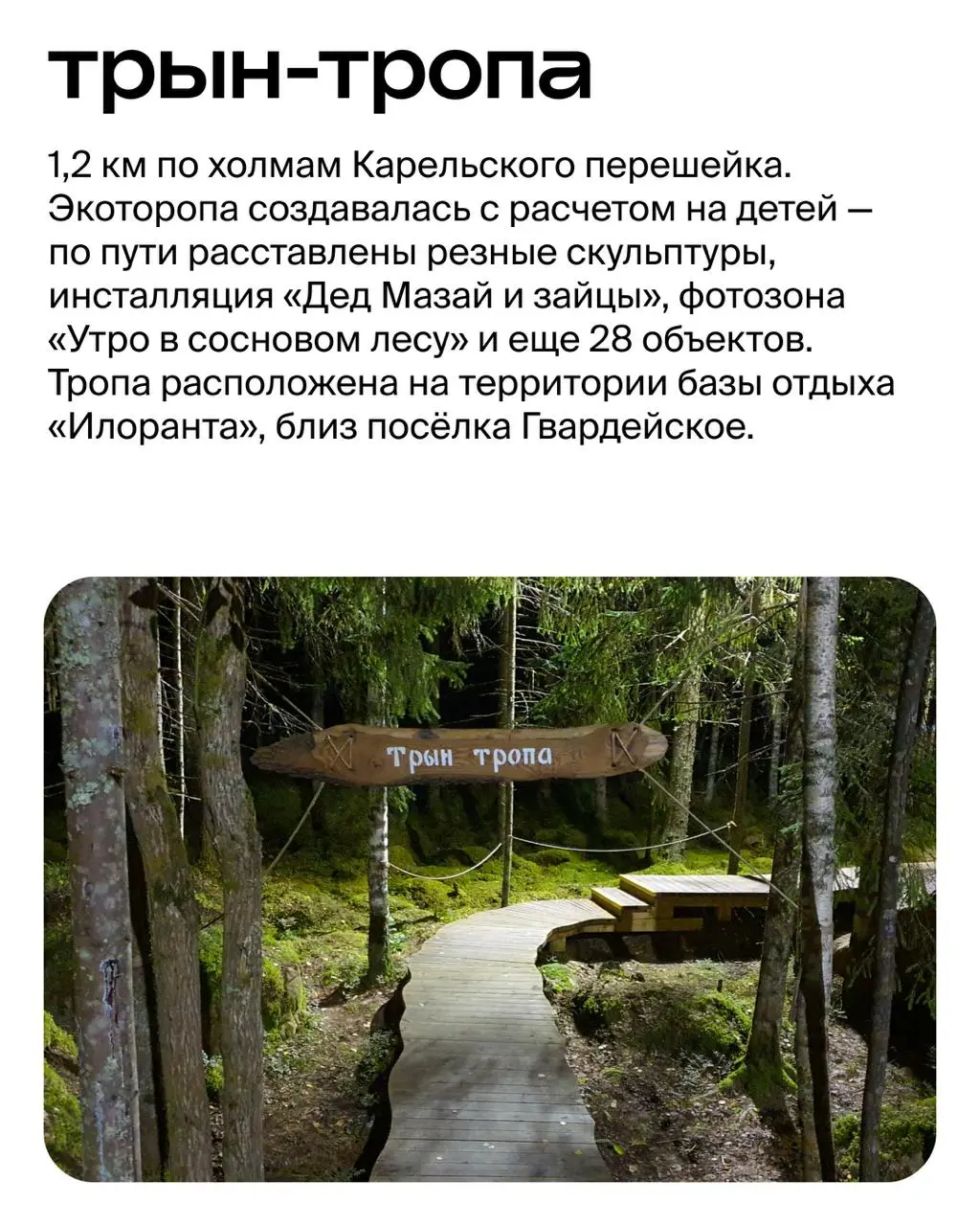 Скалы, водопады и герои сказок: 6 экологических троп вокруг Петербурга