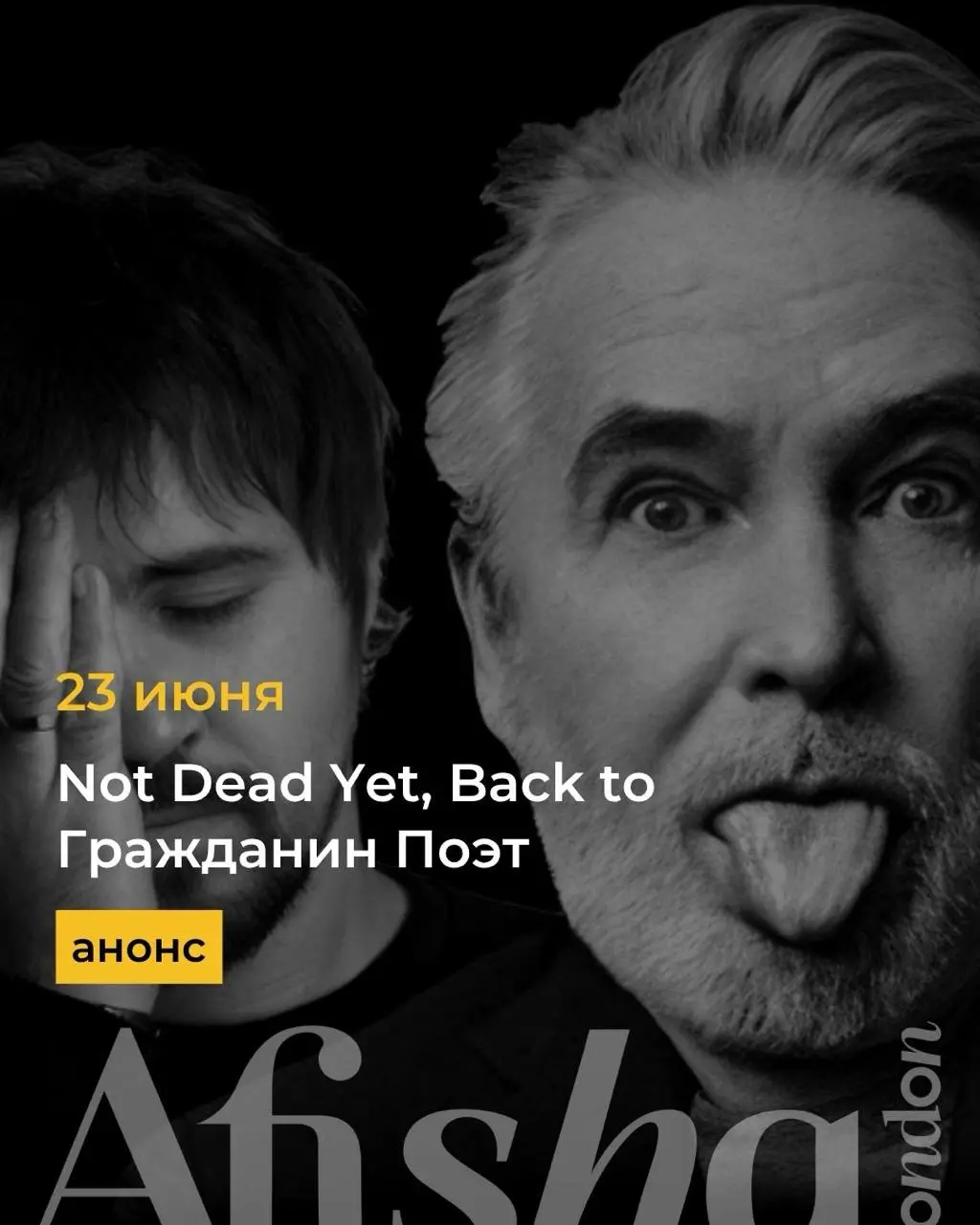 Not Dead Yet, Back to Гражданин Поэт