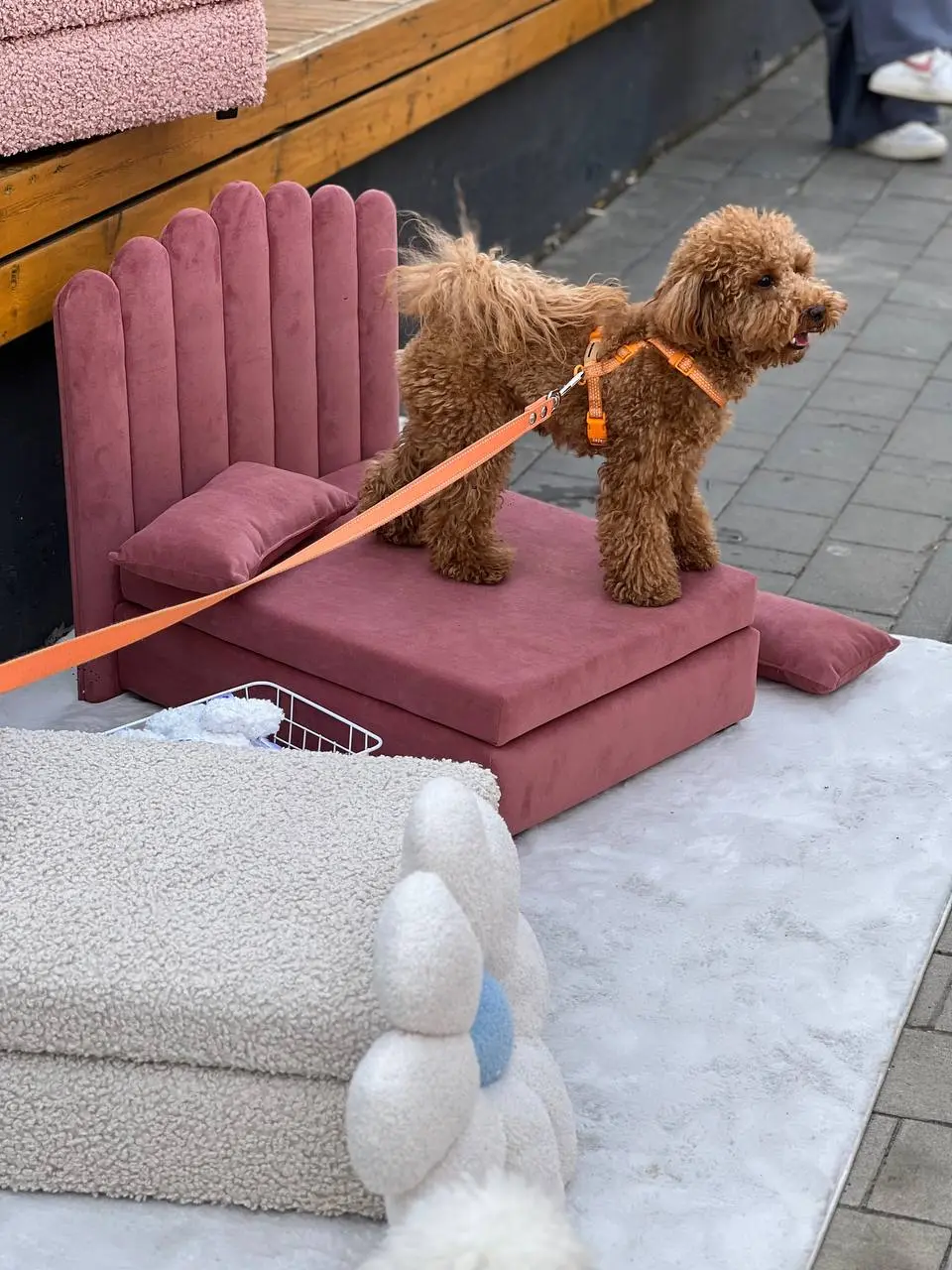 Культурная программа на ближайшие выходные