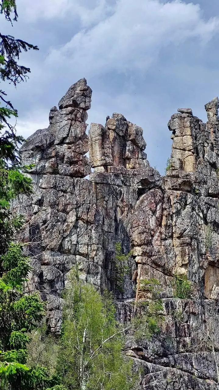 Инзерские зубчатки 6 июня