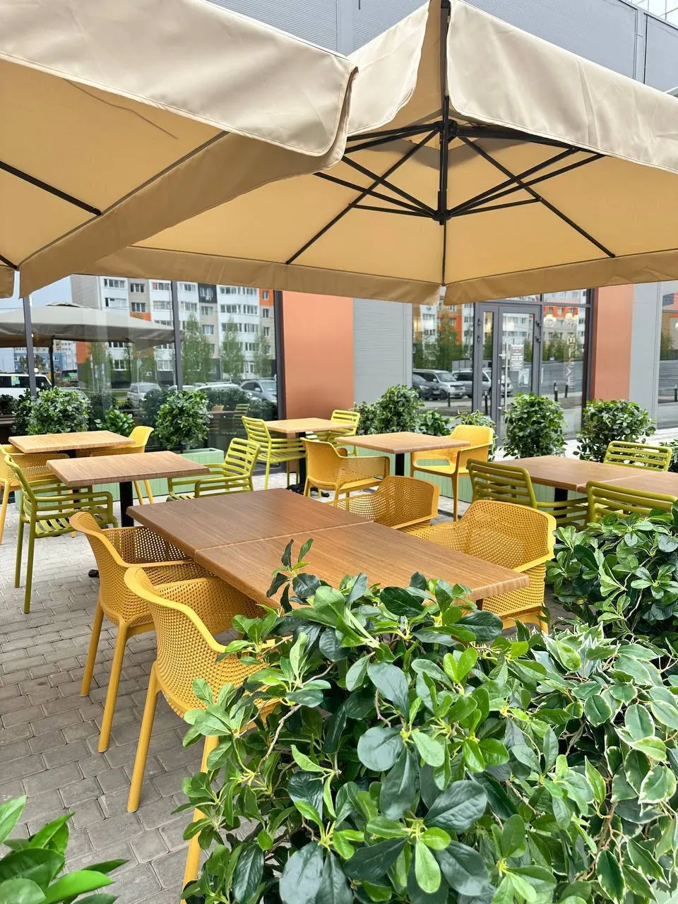 Аджикинежаль — вкус Грузии в Барнауле