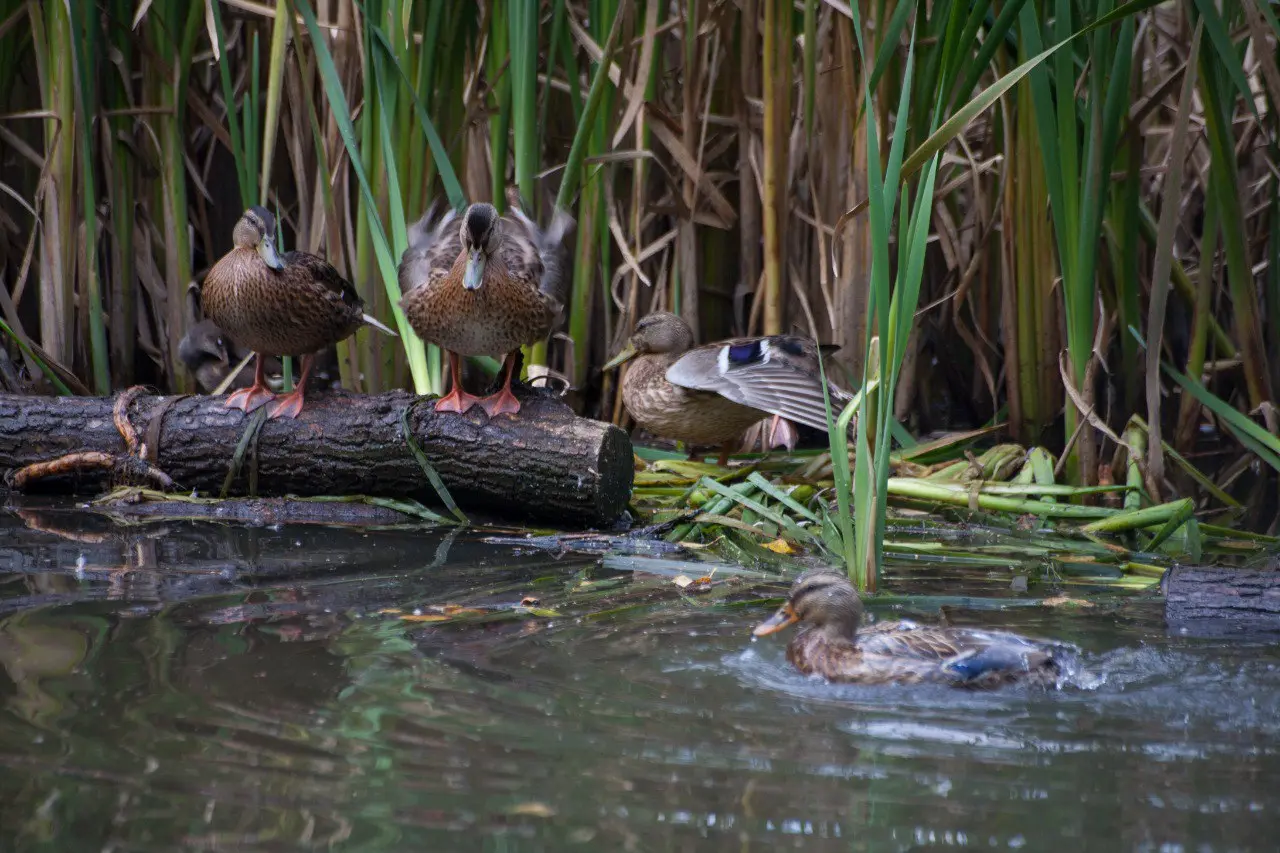 Мероприятия в Барнауле 3-8 июня 2025