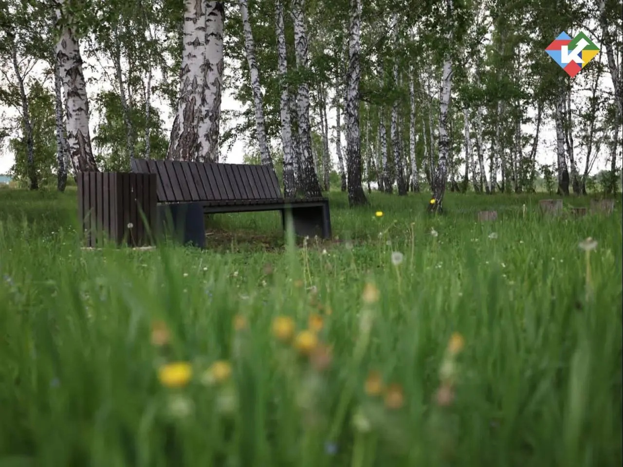 Масштабный проект благоустройства в городе Далматово